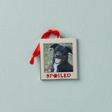 Spoiled Pet Frame Ornament