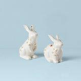 Butterfly Meadow Bunny Salt & Pepper